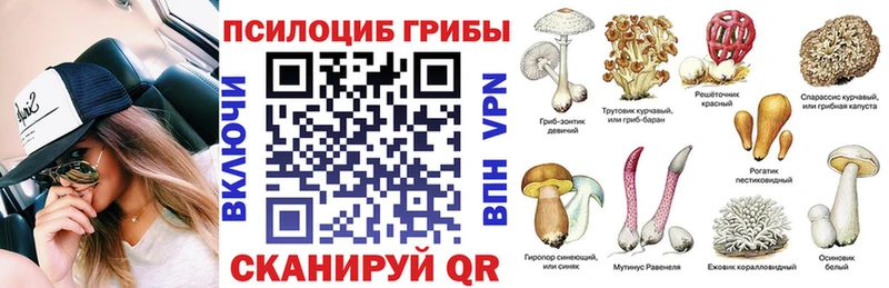 дарнет шоп  Кингисепп  Псилоцибиновые грибы GOLDEN TEACHER 
